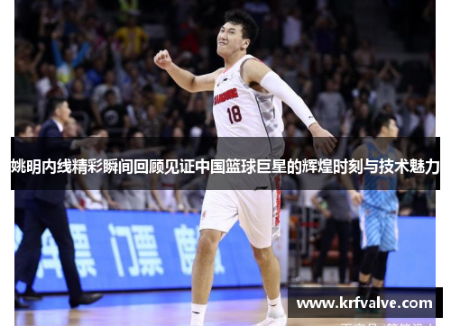 姚明内线精彩瞬间回顾见证中国篮球巨星的辉煌时刻与技术魅力