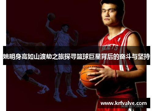 姚明身高如山渡劫之旅探寻篮球巨星背后的奋斗与坚持